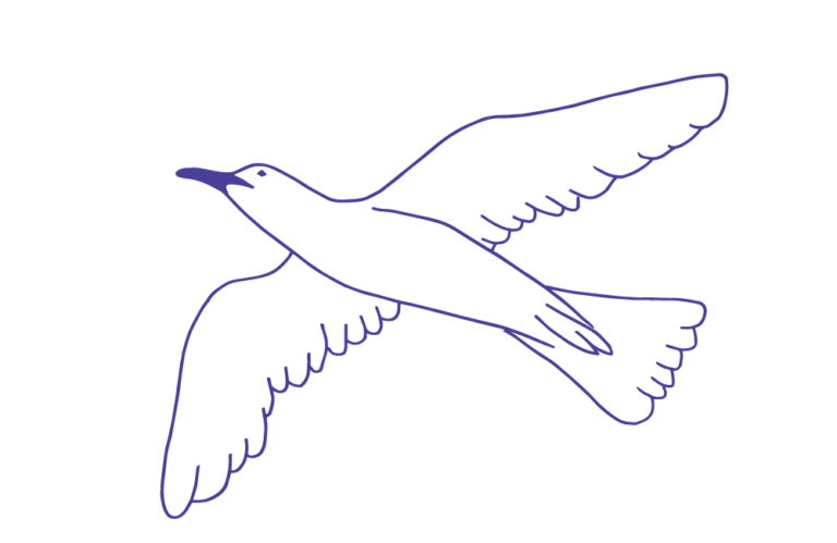 illustrasjon av fugl