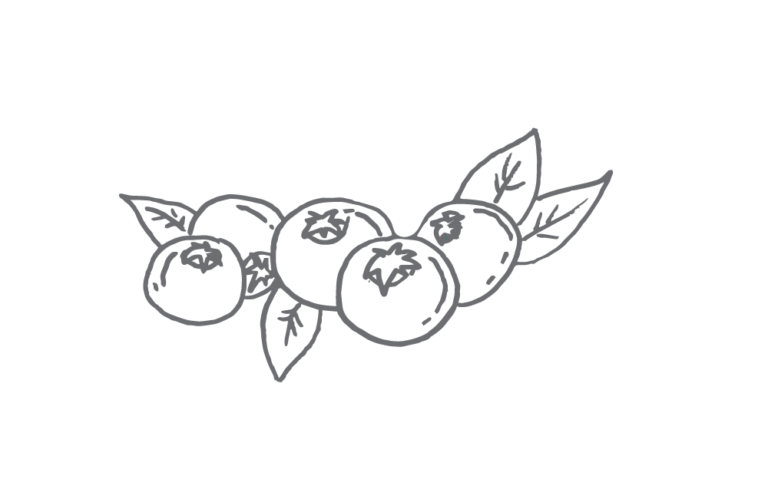 illustrasjon tranebær