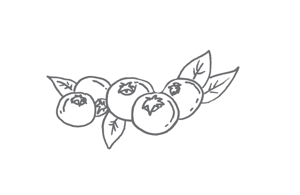 illustrasjon tranebær