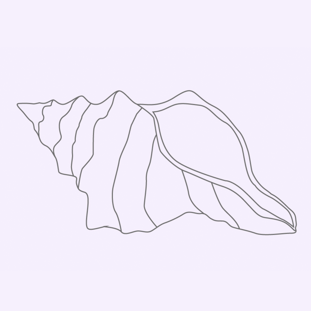 Kjønnsvorter skjell