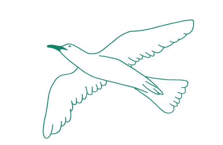 vulvodynier fugl illustrasjon