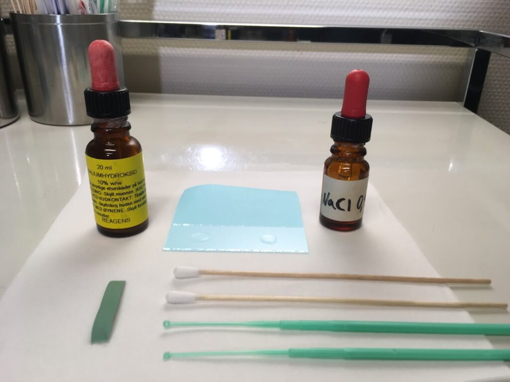 Kaliumhydroksid, NaCl, objektglass og dekkglass. Øser, vattpinne og pH-papir.